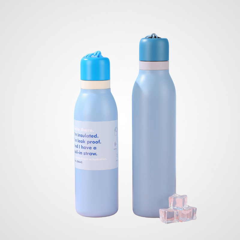 Insulated Leak-Proof Stainless Steel Bottle Stylish Double-Walled Water Bottle with Built-in Straw