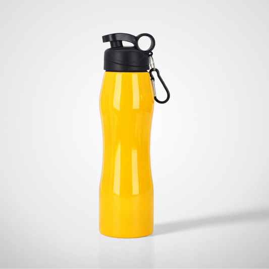 750ml Eco Water Bottle with Carabiner Hook Promotional Stainless Steel Metal Drinking Bottle