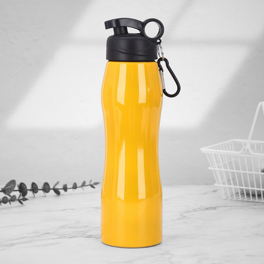 750ml Eco Water Bottle with Carabiner Hook Promotional Stainless Steel Metal Drinking Bottle