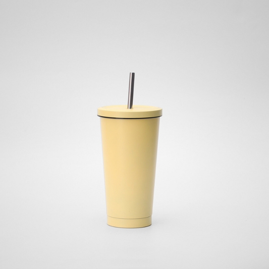 Stainless Steel Double Walled Vacuum Reusable Water Tumbler With Straw