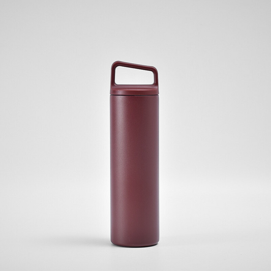 Double Wall Stainless Steel Water Bottle Insulated Metal Sports Bottle with Handle