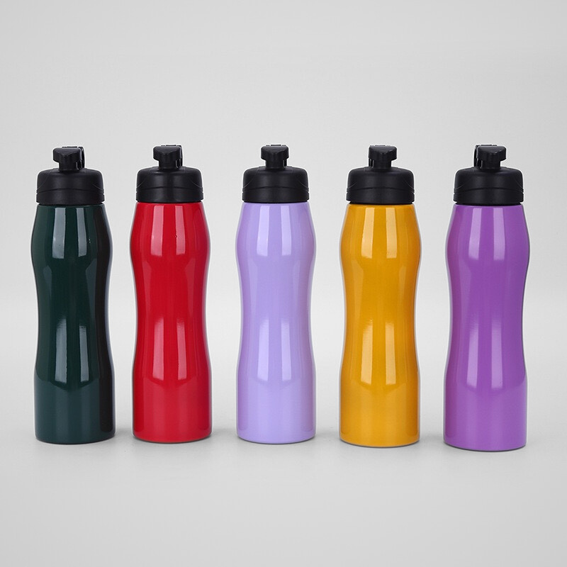 750ml Eco Water Bottle with Carabiner Hook Promotional Stainless Steel Metal Drinking Bottle