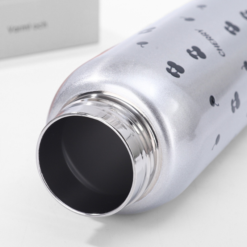 New Design 650ml Outdoor Sports Drinkware Insulated Vacuum Tumbler Stainless Steel Water Bottle