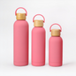 Classic Stainless Steel Narrow Mouth Sports Water Bottle