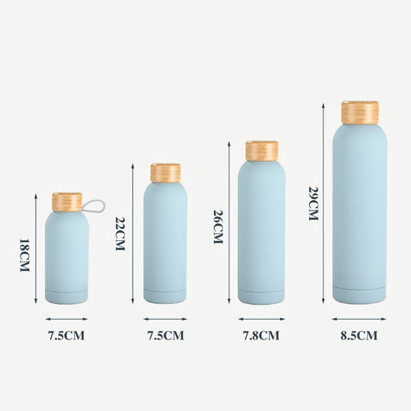 Classic Stainless Steel Narrow Mouth Sports Water Bottle